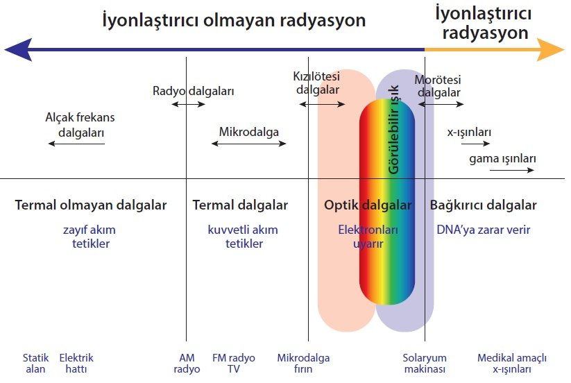 İyonlaştırıcı ve İyonlaştırıcı Olmayan Radyasyon Etkileri